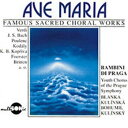 【中古】(良い)Ave Maria