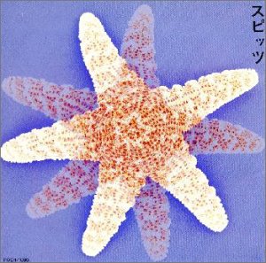 【中古】(良い)スピッツ 【中古】(良い)スピッツ