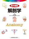 【中古】(良い)解剖学 (カラーイラストで学ぶ 集中講義)