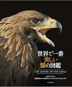 【中古】(良い)世界で一番美しい鷲の図鑑(3)