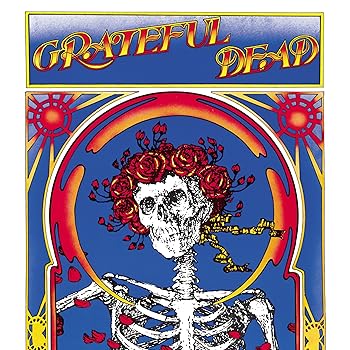 šۡɤThe Grateful Dead (Skull & Roses)