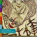 【中古】(非常に良い)Digging in the Dirt [CD]