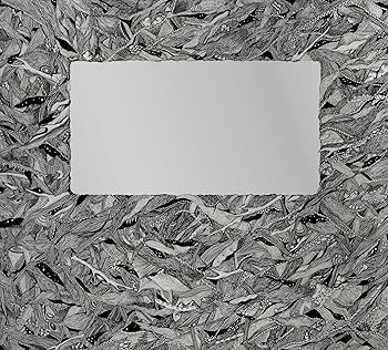 【中古】(非常に良い)Fourth wall [CD] THE NOVEMBERS