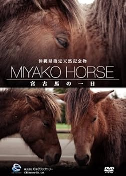 【中古】(未使用・未開封品)沖縄県指定天然記念物・宮古馬の一日 [DVD]
