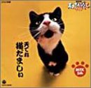 【中古】NHK天才てれびくんワイド~天てれ猫だましぃ~ audioCD TVサントラ