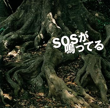 【中古】SOSが鳴ってる [audioCD] 麗蘭: Artist【メーカー名】SPACE SHOWER MUSIC【メーカー型番】【ブランド名】SPACE SHOWER MUSIC【商品説明】SOSが鳴ってる [audioCD] 麗蘭: Artist発売日/2004-08-03当店では初期不良に限り、商品到着から7日間は返品を 受付けております。お問い合わせ・メールにて不具合詳細をご連絡ください。【重要】商品によって返品先倉庫が異なります。返送先ご連絡まで必ずお待ちください。連絡を待たず会社住所等へ送られた場合は返送費用ご負担となります。予めご了承ください。他モールとの併売品の為、完売の際はキャンセルご連絡させて頂きます。中古品の画像および商品タイトルに「限定」「初回」「保証」「DLコード」などの表記がありましても、特典・付属品・帯・保証等は付いておりません。電子辞書、コンパクトオーディオプレーヤー等のイヤホンは写真にありましても衛生上、基本お付けしておりません。※未使用品は除く品名に【import】【輸入】【北米】【海外】等の国内商品でないと把握できる表記商品について国内のDVDプレイヤー、ゲーム機で稼働しない場合がございます。予めご了承の上、購入ください。掲載と付属品が異なる場合は確認のご連絡をさせて頂きます。ご注文からお届けまで1、ご注文⇒ご注文は24時間受け付けております。2、注文確認⇒ご注文後、当店から注文確認メールを送信します。3、お届けまで3〜10営業日程度とお考えください。4、入金確認⇒前払い決済をご選択の場合、ご入金確認後、配送手配を致します。5、出荷⇒配送準備が整い次第、出荷致します。配送業者、追跡番号等の詳細をメール送信致します。6、到着⇒出荷後、1〜3日後に商品が到着します。　※離島、北海道、九州、沖縄は遅れる場合がございます。予めご了承下さい。お電話でのお問合せは少人数で運営の為受け付けておりませんので、お問い合わせ・メールにてお願い致します。営業時間　月〜金　11:00〜17:00★お客様都合によるご注文後のキャンセル・返品はお受けしておりませんのでご了承ください。ご来店ありがとうございます。当店では良品中古を多数揃えております。お電話でのお問合せは少人数で運営の為受け付けておりませんので、お問い合わせ・メールにてお願い致します。