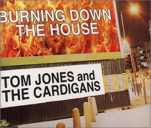 【中古】【非常に良い】Burning Down the House [CD]