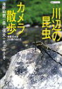 【中古】【非常に良い】川辺の昆虫カメラ散歩—多摩川水系250種の虫たち (講談社プラスアルファ文庫)(3)