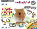 【中古】ハムスターパラダイスあどばんちゅ