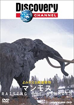 【中古】【非常に良い】ディスカバリーチャンネル よみがえる絶滅動物 マンモス [DVD]