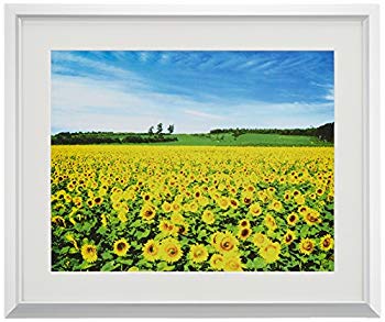 【中古】ナカバヤシ アルミ製軽量写真額 六ツ切判 シルバー フ-SA-222-S ggw725x 【中古】ナカバヤシ アルミ製軽量写真額 六ツ切判 シルバー フ-SA-222-S ggw725x