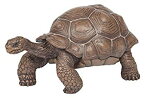 【中古】Papo(パポ) ガラパゴスゾウガメ PVC PA50161 9jupf8b
