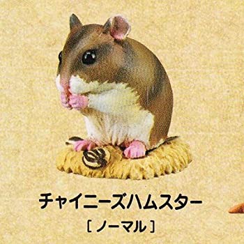 【中古】【非常に良い】カプセルCLASSICA ハムスターズランチ[ひま種]　復刻版 ［11.チャイニーズハムスター(ノーマル)］(単品)