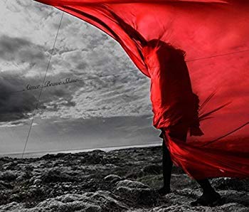 【中古】【非常に良い】Brave Shine(初回生産限定盤)(DVD付) qqffhab