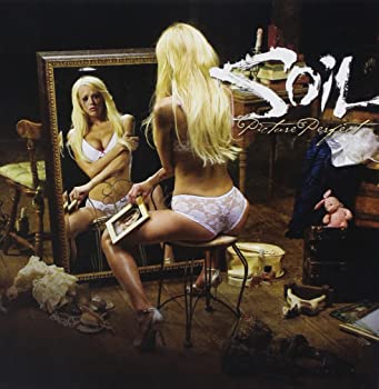 【中古】Picture Perfect [CD]