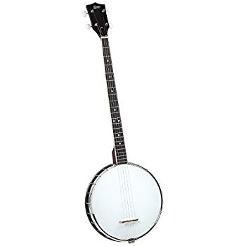 【中古】【非常に良い】Rover RB-20P プレクトラムオープンバック4弦バンジョー 2mvetro