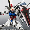 【中古】【非常に良い】ROBOT魂 〈SIDE MS〉 ストライクルージュ(天空のキラVer.)(魂ウェブ商店限定) w17b8b5