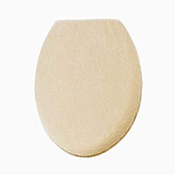 šۡɤۥ襳ʥꥨ COLOR SHOP ѥեС ١ wgteh8f