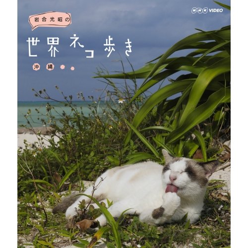 ご来店ありがとうございます。昭和・平成のCD、DVD、家電、音響機器など希少な商品も多数そろえています。レコード、楽器の取り扱いはございません。掲載していない商品もお探しいたします。映像商品にはタイトル最後に[DVD]、[Blu-ray]と表記しています。表記ないものはCDとなります。お気軽にメールにてお問い合わせください。岩合光昭の世界ネコ歩き　沖縄　ブルーレイ【NHKスクエア限定商品】【メーカー名】NHKエンタープライズ【メーカー型番】【ブランド名】NHKエンタープライズ【商品説明】岩合光昭の世界ネコ歩き　沖縄　ブルーレイ【NHKスクエア限定商品】・中古品（ユーズド品）について商品画像はイメージです。中古という特性上、使用に影響ない程度の使用感・経年劣化（傷、汚れなど）がある場合がございます。商品のコンディション、付属品の有無については入荷の度異なります。また、中古品の特性上、ギフトには適しておりません。商品名に『初回』、『限定』、『〇〇付き』等の記載がございましても、特典・付属品・保証等は原則付属しておりません。付属品や消耗品に保証はございません。当店では初期不良に限り、商品到着から7日間は返品を受付けております。注文後の購入者様都合によるキャンセル・返品はお受けしていません。他モールでも併売している商品の為、完売の際は在庫確保できない場合がございます。ご注文からお届けまで1、ご注文⇒ご注文は24時間受け付けております。2、注文確認⇒ご注文後、当店から注文確認メールを送信します。3、在庫確認⇒新品、新古品：3-5日程度でお届け。※中古品は受注後に、再検品、メンテナンス等により、お届けまで3日-10日営業日程度とお考え下さい。米海外倉庫から取り寄せの商品については発送の場合は3週間程度かかる場合がございます。　※離島、北海道、九州、沖縄は遅れる場合がございます。予めご了承下さい。※配送業者、発送方法は選択できません。お電話でのお問合せは少人数で運営の為受け付けておりませんので、メールにてお問合せお願い致します。お客様都合によるご注文後のキャンセル・返品はお受けしておりませんのでご了承下さい。