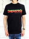 DSQUARED2（ディースクエアード）【DSQUARED2 COOL T-SHIRT】COOL FIT”RASTA COLOR LOGO”Tee★BLACK★