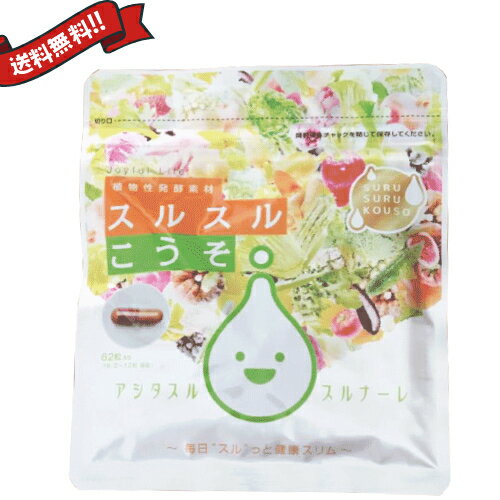 【マラソン限定！ポイント2倍！】スルスルこうそ 62粒 送料無料