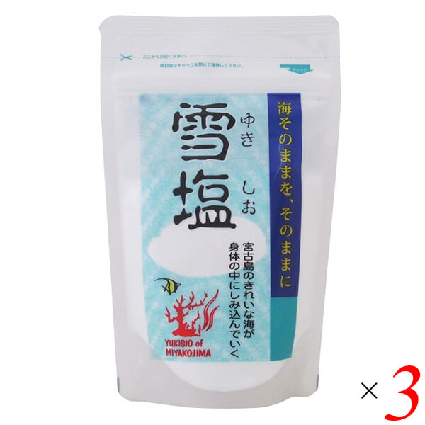 【マラソン限定！ポイント6倍！100円クーポン！】雪塩 パウダータイプ 60g 3個セット 宮古島の海水100％ さらさら微粒 粉末タイプ 調味料 海塩