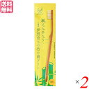 【5/18(日)限定!ポイント最大4倍!】歯ブラシ ハブラシ かため FINE MEGURU 竹の歯ブラシ 豚毛(かため)2本セット 送料無料(4)
