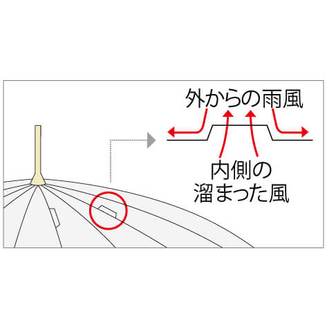 【スーパーSALE！ポイント2倍！100円クーポン】傘 ビニール傘 ホワイトローズ カテールMI7 (エムアイ セブン）紺 2本セット 傘 メンズ レディース 送料無料