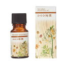 アロマ アロマオイル 精油 生活の木 ブレンドエッセンシャルオイル 10ml ひのき時間 送料無料