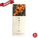 【5/25(日)限定!楽天カード利用でポイント8倍!】豊潤サジー スティックタイプ 30ml×10包 2個セット(4)