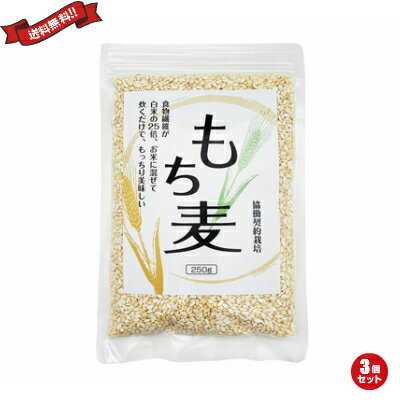 もち麦は、食味に優れる100％もち性大麦を原料とした食物繊維たっぷりのもち麦です。 食物繊維含有が圧倒的に多く、食味に優れる100％もち性大麦を原料として、食べやすく加工しました。 ★おすすめポイント 協働契約栽培の厳選大麦を使用しています。 総食物繊維量で白米の約25倍、玄米の約4倍！ 優れた生理作用を有するβ-グルカンも豊富。 お米に混ぜて炊いてください。 ★おすすめの食べ方 ・白米と通常の水加減に加え、本品（お好みの量）とその2.3倍の水を加えてください。 軽く混ぜ30分程度浸漬させてから炊くと美味しく召し上がれます。 ・もちもちとした食感を生かして、おこわにもおすすめです。 ・単品でゆでて、みそ汁、スープ、ラーメンなどにもご使用いただけます。 ・ひき肉の代わりとしてハンバーグや餃子、焼売の具にしてヘルシーに召し上がれます。 ■内容量：250g×3 ■原材料名：大麦(もち性) ■賞味期限：未開封1年 ■保存方法：直射日光、高温多湿を避けて保存してください ■メーカー或いは販売者：TAC21 ■区分：食品 ■製造国：日本製【免責事項】 ※記載の賞味期限は製造日からの日数です。実際の期日についてはお問い合わせください。 ※自社サイトと在庫を共有しているためタイミングによっては欠品、お取り寄せ、キャンセルとなる場合がございます。 ※商品リニューアル等により、パッケージや商品内容がお届け商品と一部異なる場合がございます。 ※メール便はポスト投函です。代引きはご利用できません。厚み制限（3cm以下）があるため簡易包装となります。 外装ダメージについては免責とさせていただきます。