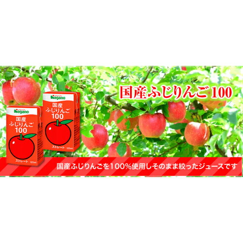 りんごジュース ストレート 無添加 ナガノトマト 国産ふじりんご100 125ml 12本セット