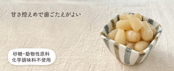 らっきょう国産らっきょう漬けオーサワのらっきょう(甘酢)80g10袋セット送料無料