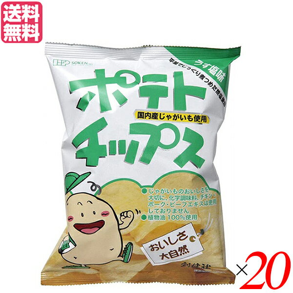 ポテトチップス 無添加 うすしお 創健社 ポテトチップス うす塩味 60g 20袋セット 送料無料