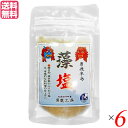 塩 藻塩 天然塩 男鹿半島 藻塩 40g 6袋セット 男鹿工房 送料無料