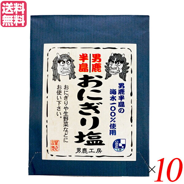 塩 食塩 おにぎり 男鹿半島 おにぎり塩 40g 10個セッ