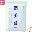 【マラソン限定!100円クーポン!ポイント2倍!】塩 天日塩 天然 酵素塩 5kg 送料無料