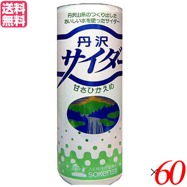 サイダー ソーダ 炭酸 創健社 丹沢サイダー 250ml 60本セット 送料無料