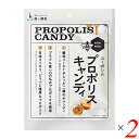 【6/15(日)限定!楽天カード利用でポイント8倍!】はちみつ プロポリス 飴 コーボンのプロポリスキャンディ 28g 2個セット 送料無料