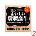 創健社 愛媛産牛 無塩せきコンビーフは愛媛県産牛肉を100%使用した無塩せき手作りコンビーフ。 発色剤（亜硝酸ナトリウム）を使用せず（塩せき工程を行わず）肉本来の食感・風味を活かしました。 ○愛媛県産牛肉を100%使用した、発色剤不使用の手作り無塩せきコンビーフです。 ○素材の風味を大切に、発色剤（亜硝酸ナトリウム）、着色料、保存料、化学調味料は使用しておりません。 ○一番しぼりの「べに花一番高オレイン酸」を使用しています。 ○砂糖は鹿児島県喜界島産の粗糖を使用しています。食塩はにがりを含む塩を使用しています。 ＜創健社について＞ 半世紀を超える歴史を持つこだわりの食品会社です。 創業の1968年当時は、高度経済成長期の中、化学合成された香料・着色料・保存料など食品添加物が数多く開発され、大量生産のための工業的製法の加工食品が急速に増えていました。 創業者中村隆男は、「食べもの、食べ方は、必ず生き方につながって来る。食生活をととのえることは、生き方をととのえることである。」と提唱し、変わり行く日本の食環境に危機感を覚え、より健康に繋がる食品を届けたいと願って創健社を立ち上げました。 いまでこそ持続可能な開発目標（SDGs）として取り上げられているようなテーマを、半世紀を超える歴史の中で一貫して追求してまいりました。 世の食のトレンドに流されるのではなく、「環境と人間の健康を意識し、長期的に社会がよくなるために、このままでいいのか？」と疑う目を持ち、「もっとこうしたらいいのでは？」と代替案を商品の形にして提案する企業。 わたしたちはこの姿勢を「カウンタービジョン・カンパニー」と呼び、これからも社会にとって良い選択をし続ける企業姿勢を貫いて参ります。 ■商品名：コンビーフ お取り寄せ 缶詰 創健社 愛媛産牛 無塩せきコンビーフ 無添加 国産 国産牛 手作り 送料無料 ■内容量：80g×2個セット ■原材料名：牛肉（愛媛）、牛脂（国内産）、べに花油、食塩、砂糖［喜界島粗糖（鹿児島）］、発酵調味料：小麦・大豆を含む、香辛料 ■アレルゲン：（28品目）小麦 / 牛肉 / 大豆 ■分析データ：1缶：80gあたり エネルギー：162kcal たんぱく質：15.8g 脂質：10.4g 炭水化物：1.4g 食塩相当量：1.4g この表示値は、目安です。 ■メーカー或いは販売者：創健社 ■賞味期限：製造日より720日 ■保存方法：直射日光・高温多湿を避け常温暗所保存 ■区分：食品 ■製造国：日本 ■注意事項： ○開缶後はガラス等の容器に移しかえて下さい。 ○本品製造工場では「卵・乳成分・えび」を含む製品を生産しています。 ○発酵調味料には、酵母エキスが含まれています。 ○破裂してケガをする恐れがありますので、缶のまま直火にかけないで下さい。 ○缶の切り口で手を傷つけないようにご注意下さい。 ○お使い残りが出た場合は、他の容器に移し替えて冷蔵庫に入れ、お早めにお召し上がり下さい。【免責事項】 ※記載の賞味期限は製造日からの日数です。実際の期日についてはお問い合わせください。 ※自社サイトと在庫を共有しているためタイミングによっては欠品、お取り寄せ、キャンセルとなる場合がございます。 ※商品リニューアル等により、パッケージや商品内容がお届け商品と一部異なる場合がございます。 ※メール便はポスト投函です。代引きはご利用できません。厚み制限（3cm以下）があるため簡易包装となります。 外装ダメージについては免責とさせていただきます。