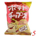 【マラソン限定!ポイント2倍!100円クーポン!】ポテトチップス ポテチ コンソメ 創健社 ポテトチップス 野菜コンソメ味 60g 5個セット