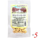 カシューナッツロースト 60g 5個セット ネオファーム 無塩 素焼き ノンオイル 送料無料(4)
