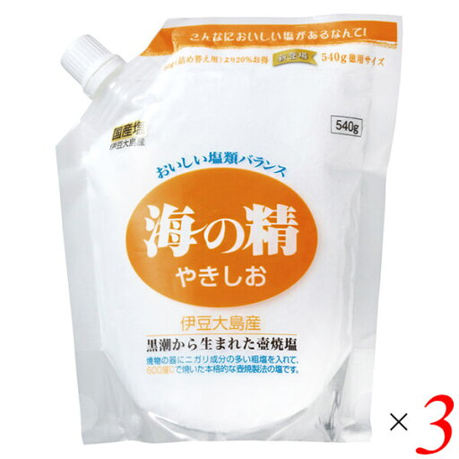 塩 天然塩 天日 海の精 やきしお(スタンドパック)540g 3個セット 送料無料 塩 天然塩 天日 海の精 やきしお(スタンドパック)540g 3個セット 送料無料