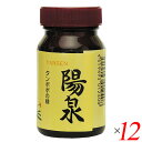 【4/21(日)限定！ポイント3倍！】タンポポ 根 たんぽぽ茶 陽泉 100g 12個セット 日本正食品研究所 送料無料