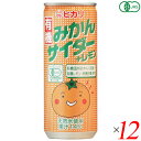 【7/27(日)限定!エントリーでポイント2倍!】ヒカリ 有機みかんサイダー+レモン 250ml 12本セット サイダー 国産 オーガニック