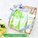 ちょこんとおすわりにゃんこタオルポーチ(グリーン)&入浴剤&ハンドジェルの3点セット_ちょっとした贈り物に_誕生日プレゼントに_ギフト_女子男子小学生中学生高校...