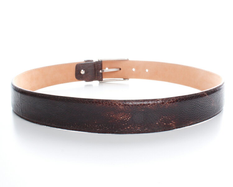 MODENA EMILIA（モデナ・エミリア）ベルト　正規取扱店　ARTC367-OSTRICHLEG-MORO
