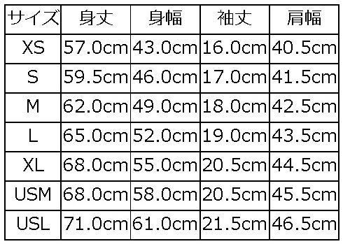 BRGX-01B-ASH.BL-ブランドロゴTシャツ01B-BRGX01B-DELUXEWARE-デラックスウエアTシャツ【送料無料】【smtb-tk】【楽ギフ_包装】