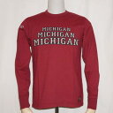 6102-ダークレッド-MICHIGAN-DELUXEWARE-デラックスウエア長袖Tシャツ-ロンT【送料無料】【smtb-tk】【楽ギフ_包装】