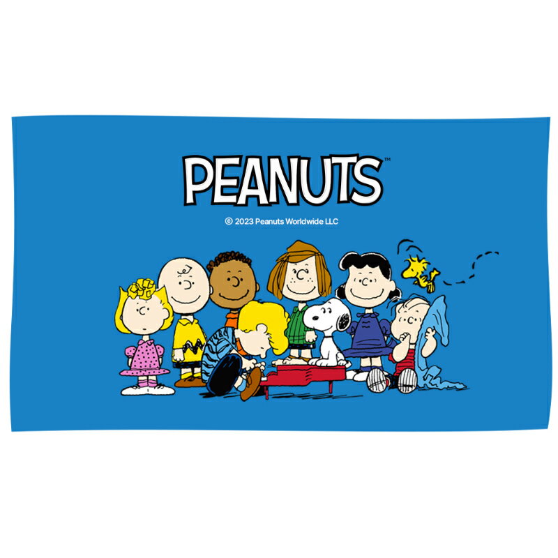 Galaxy S26Ultra SNOOPY ケース カード収納 PEANUTS ピーナッツ スヌーピー Galaxy S25Ultra S24Ultra ケース S26 S25 S24 スマホケース 人気 キャラクター グッズ シール チャーリーブラウン ウッドストック 韓国